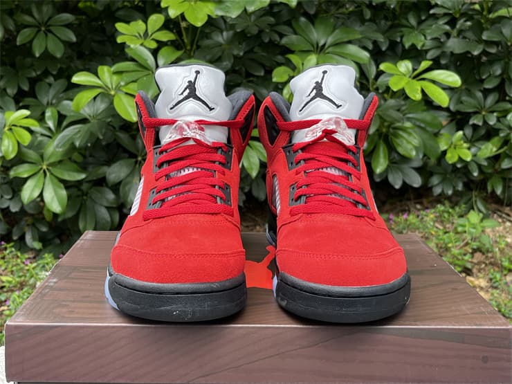 Jordan 5 Toro Bravo